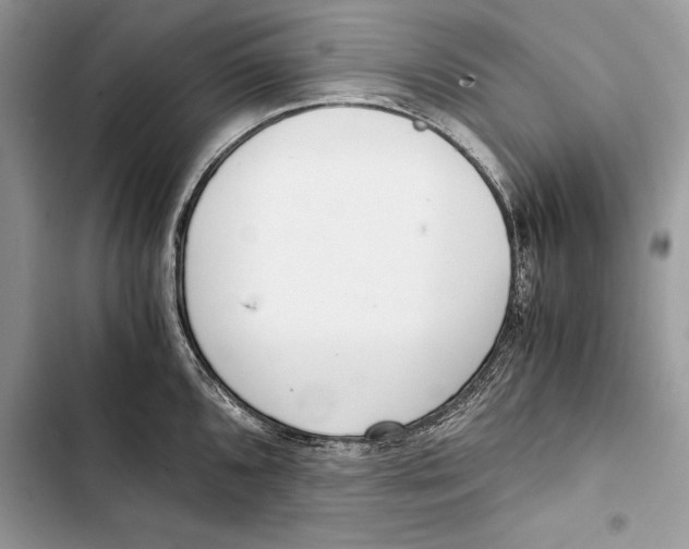 X0000103501096200810031622