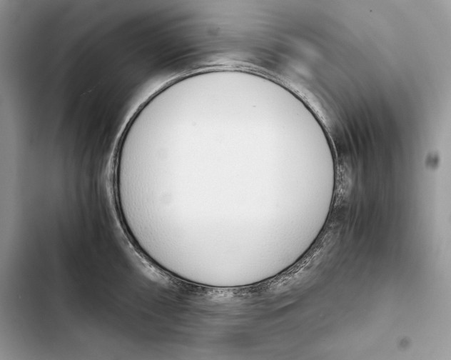 X0000103501098200810031622