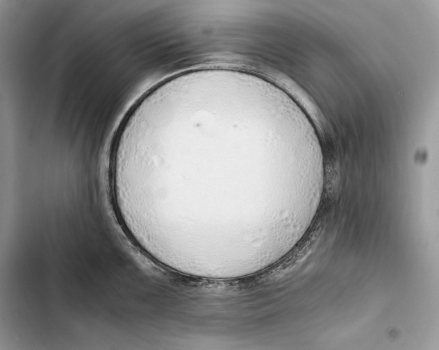 X0000103501099200810031622