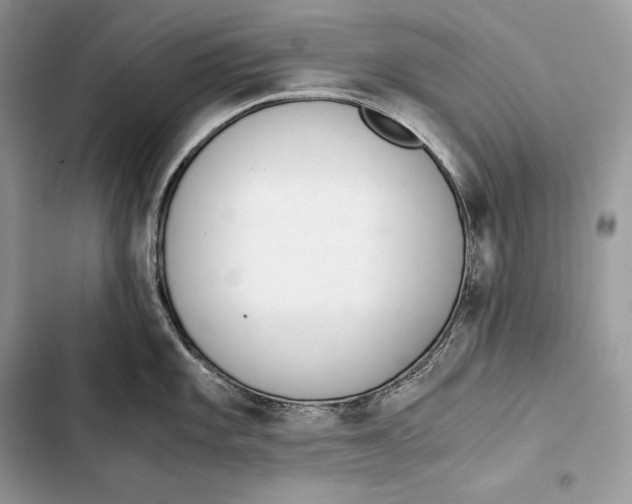 X0000103501101200810031622