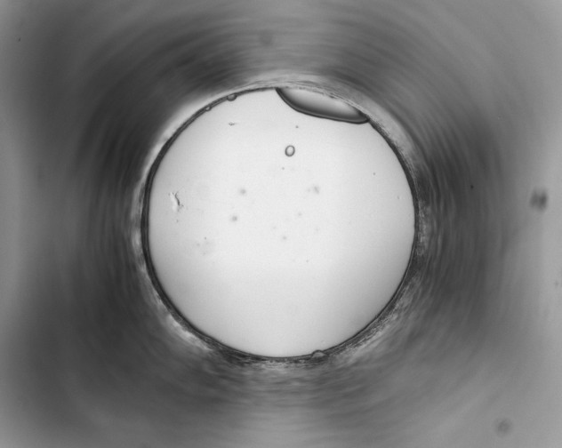 X0000103501102200810031622