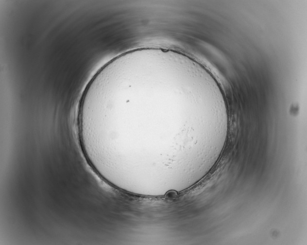 X0000103501103200810031622