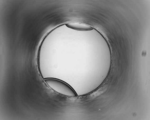 X0000103501104200810031622