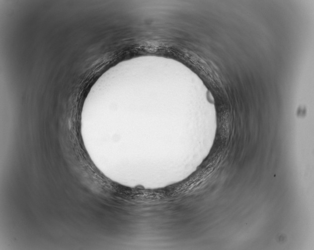 X0000103501105200810031622