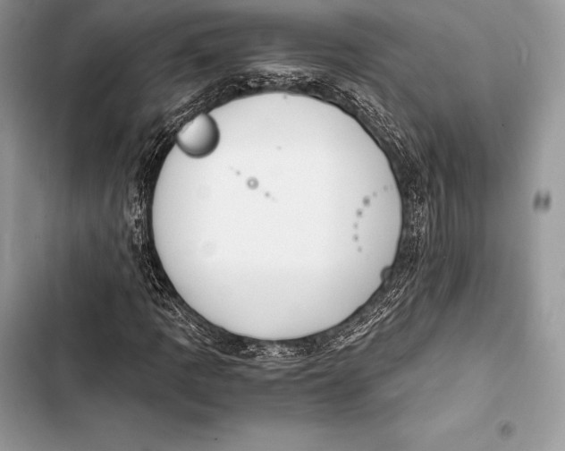 X0000103501109200810031622