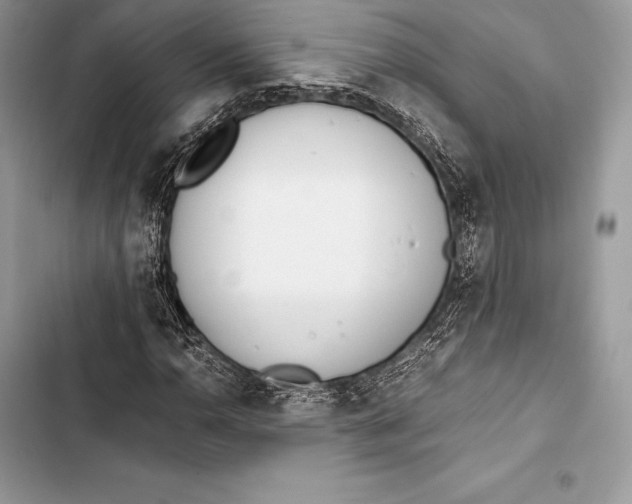 X0000103501110200810031622