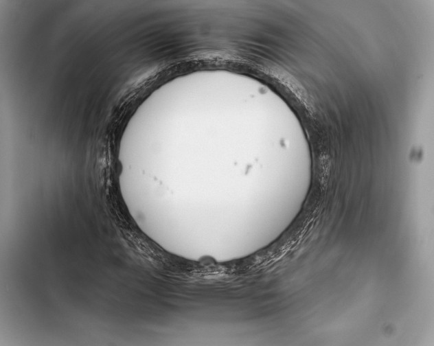 X0000103501111200810031622