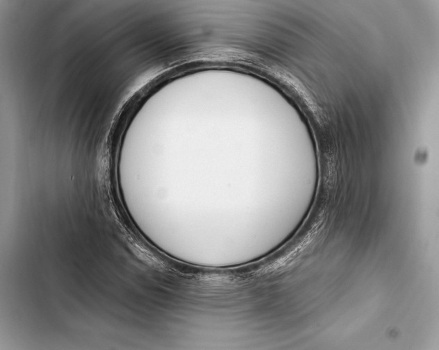 X0000103501114200810031622