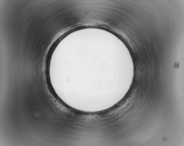 X0000103501122200810031622