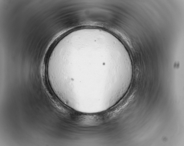 X0000103501125200810031622