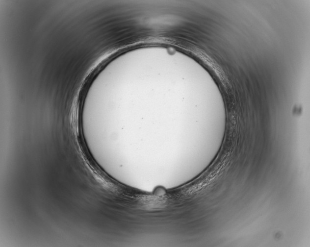 X0000103501127200810031622