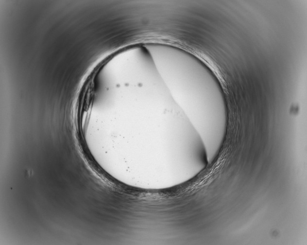 X0000103501128200810031622