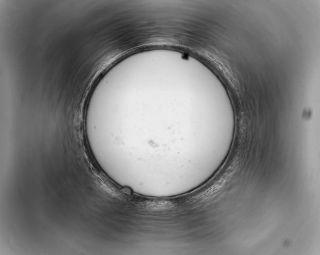 X0000103501129200810031622