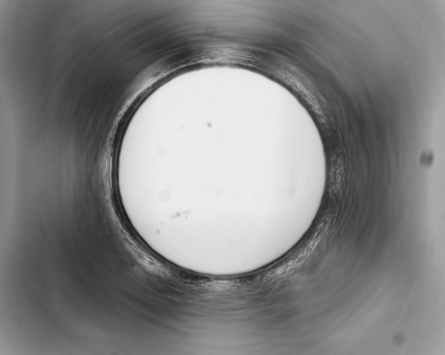 X0000103501130200810031622