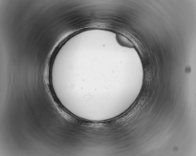 X0000103501131200810031622