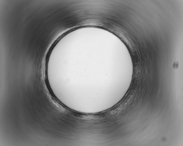 X0000103501132200810031622