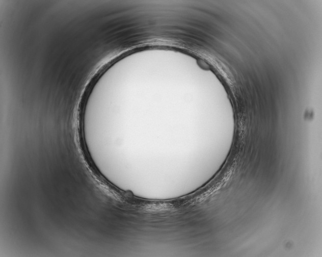 X0000103501133200810031622