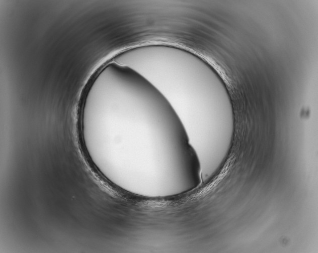 X0000103501134200810031622