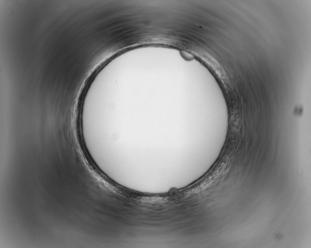 X0000103501135200810031622