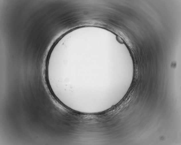 X0000103501136200810031622