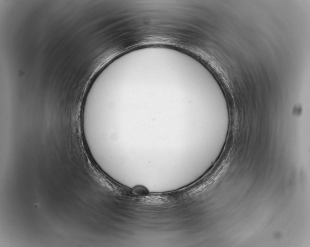 X0000103501137200810031622