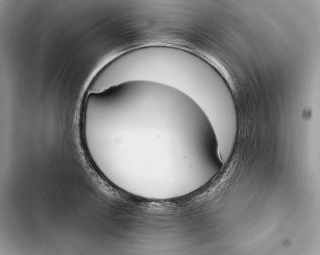 X0000103501138200810031622