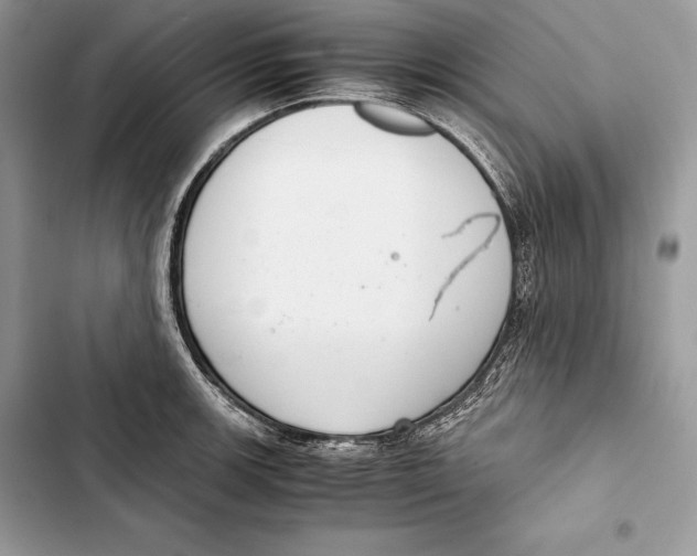 X0000103501139200810031622