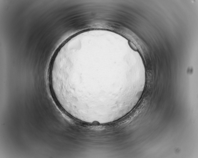 X0000103501141200810031622