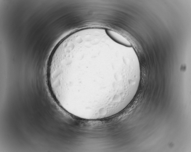 X0000103501142200810031622