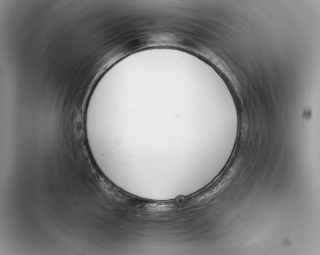 X0000103501145200810031622