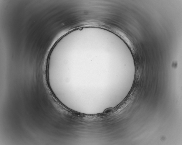 X0000103501146200810031622