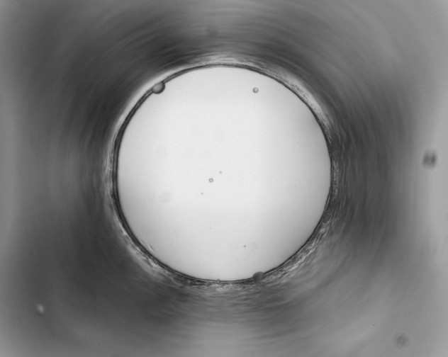 X0000103501148200810031622