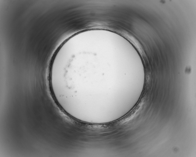 X0000103501149200810031622