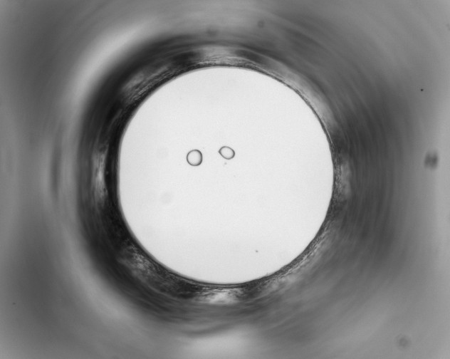 X0000103501150200810031622