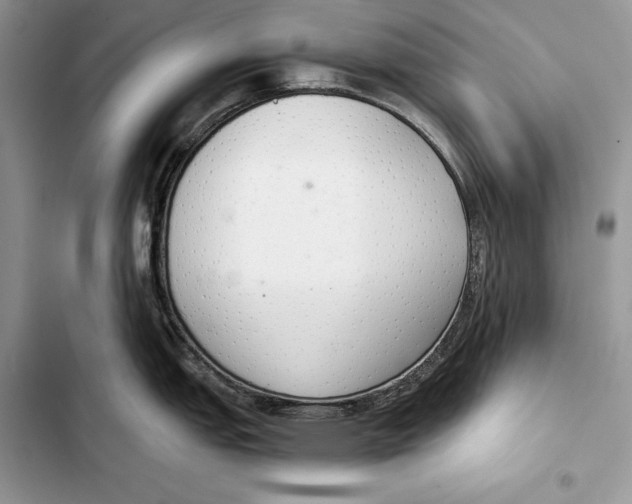 X0000103501151200810031622