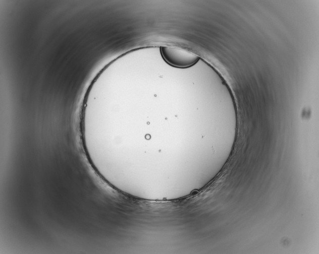 X0000103501152200810031622