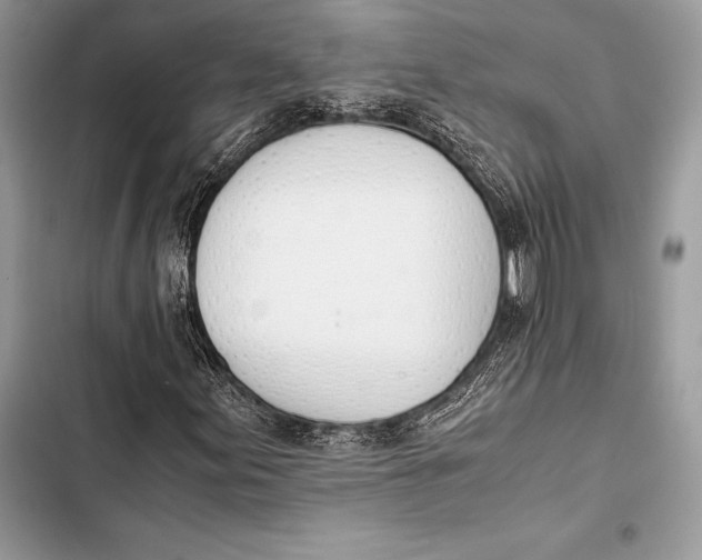 X0000103501155200810031622