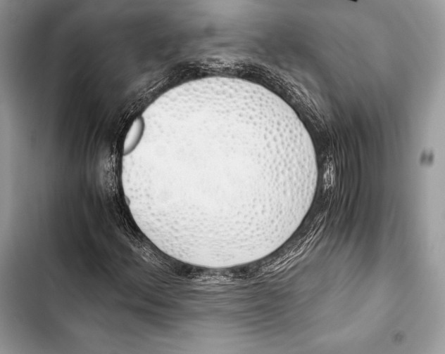 X0000103501156200810031622