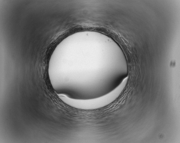 X0000103501157200810031622