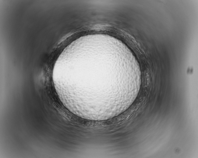 X0000103501158200810031622