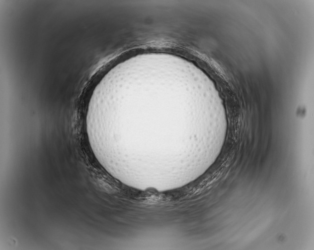 X0000103501160200810031622