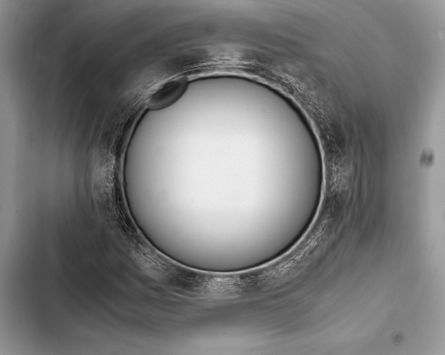 X0000103501161200810031621