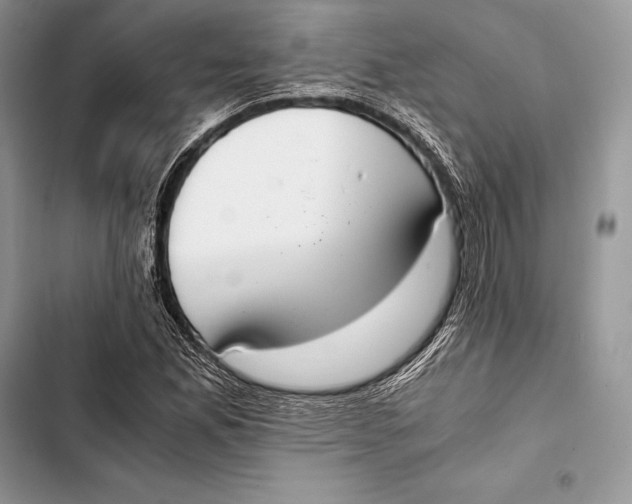 X0000103501165200810031621