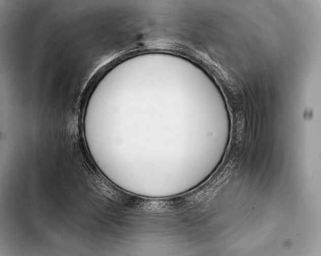 X0000103501166200810031621