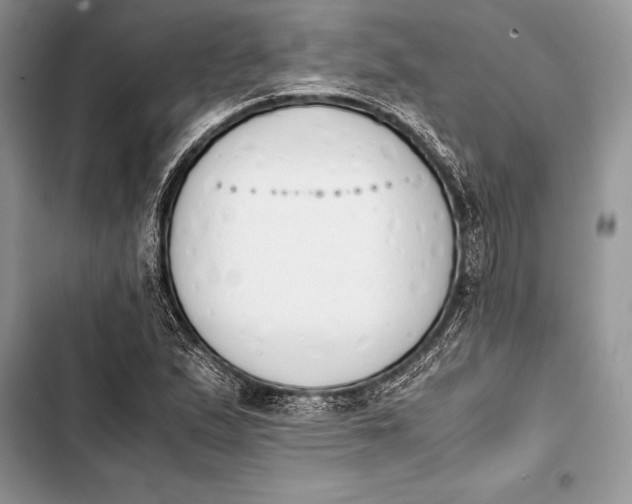 X0000103501167200810031621