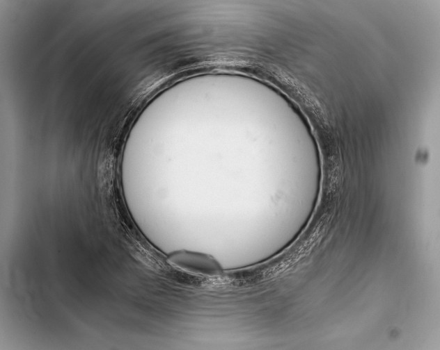 X0000103501169200810031621