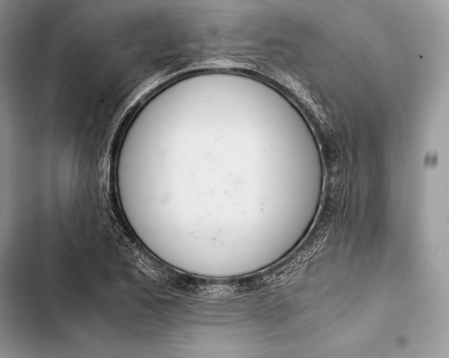 X0000103501173200810031621