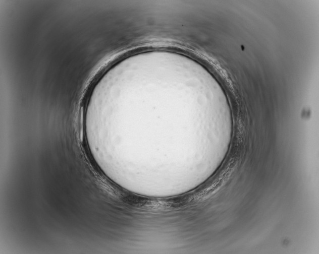 X0000103501175200810031621