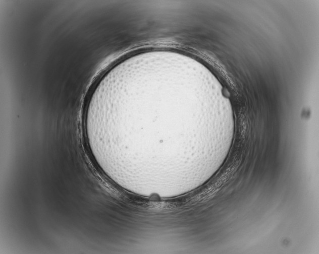 X0000103501176200810031621