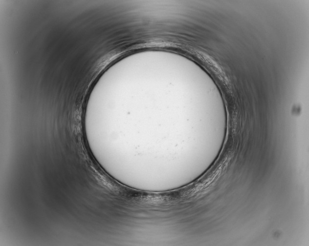 X0000103501177200810031621